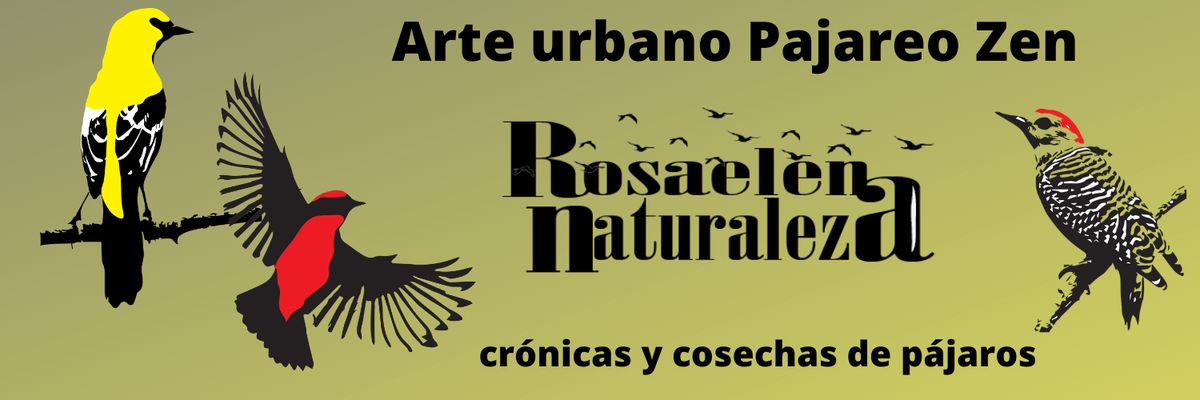AlbornozRos's profile banner image