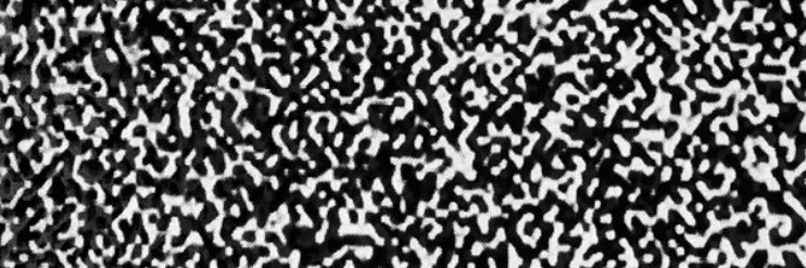 Seven banner