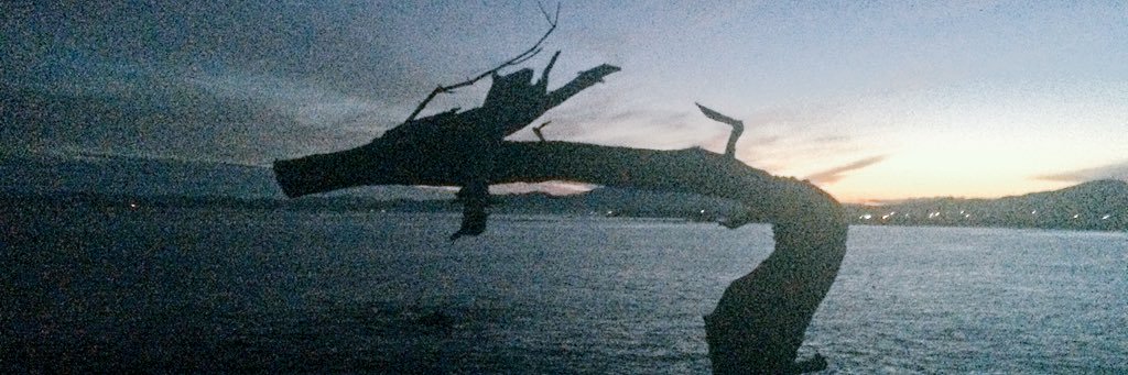 Hikarinosuke_'s profile banner image