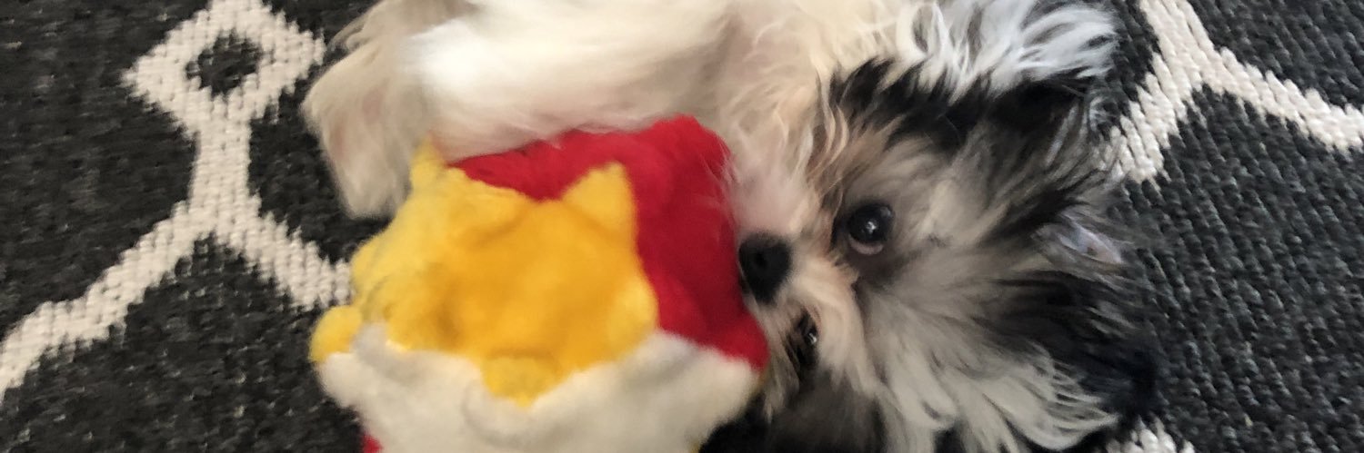 Sheri Wigmore banner