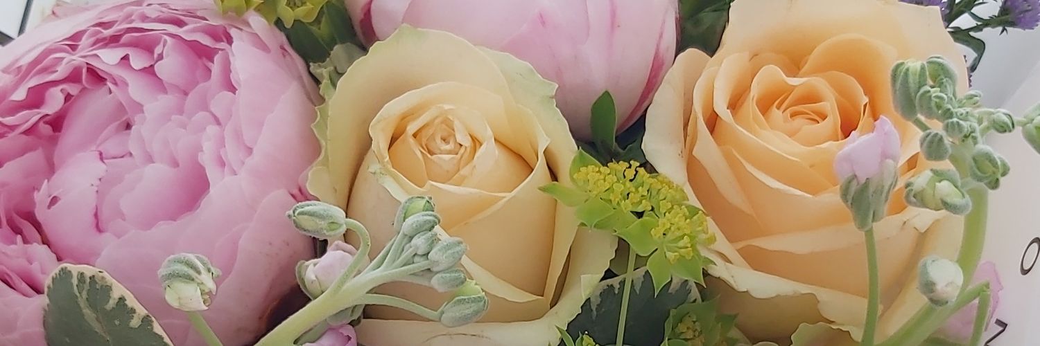 pollaea's profile banner image