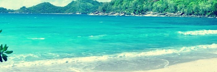 whtaaaaa's profile banner image