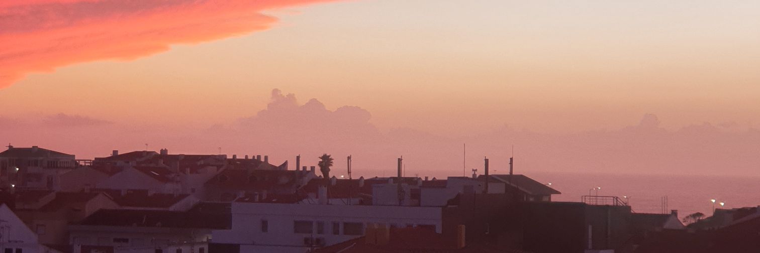 carluci_'s profile banner image
