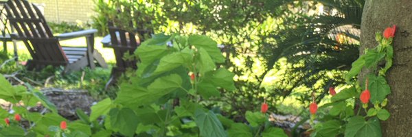 PlainError Profile Banner