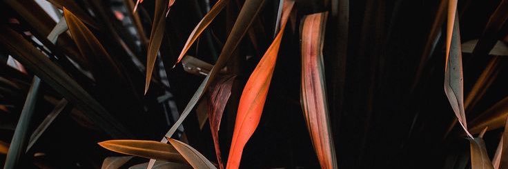FerEstrada2001's profile banner image