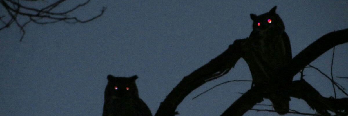 YungCloud2002's profile banner image