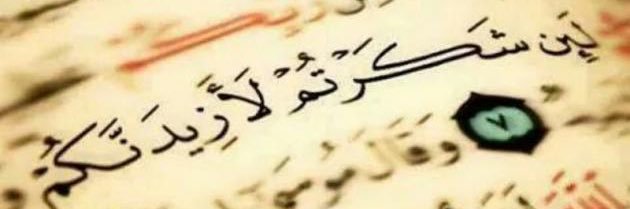 أم فيصل banner