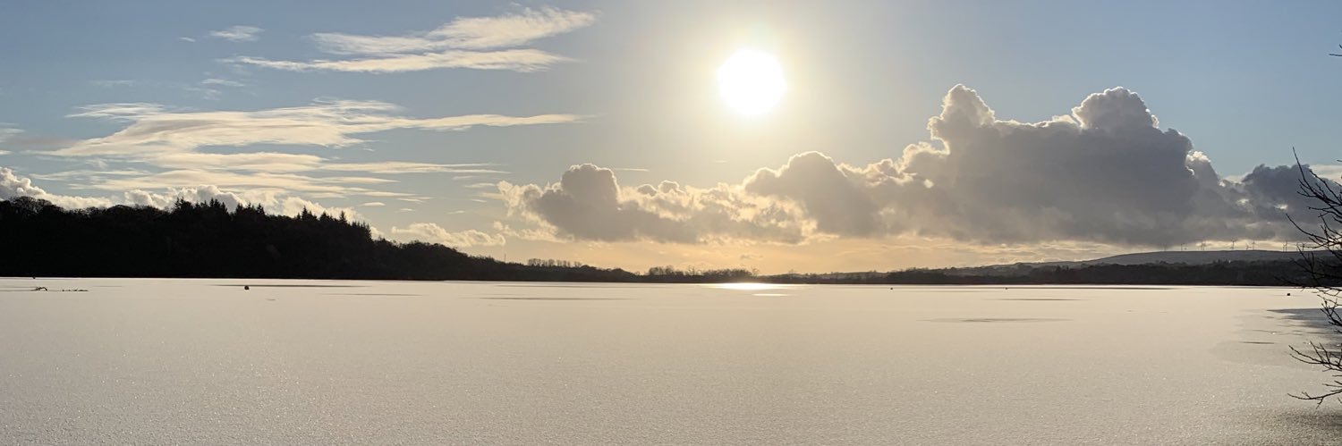 Alison Loveday banner