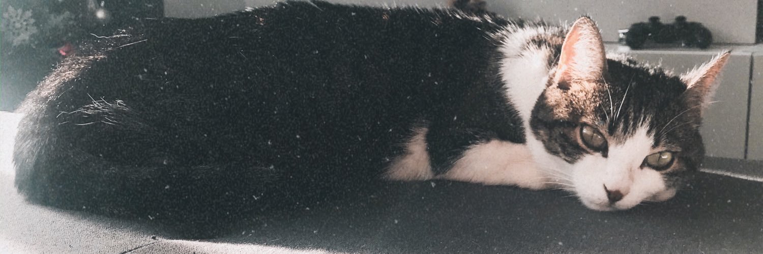 ChiliPOWny's profile banner image