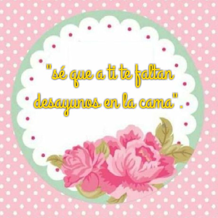 vertolina31's profile banner image