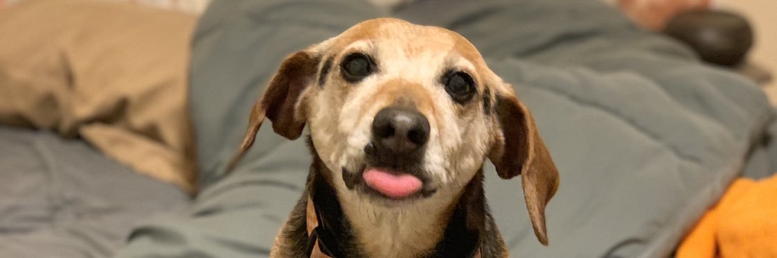 WBallardFTW's profile banner image