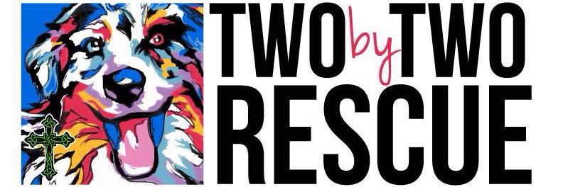 twobytworescue's profile banner image