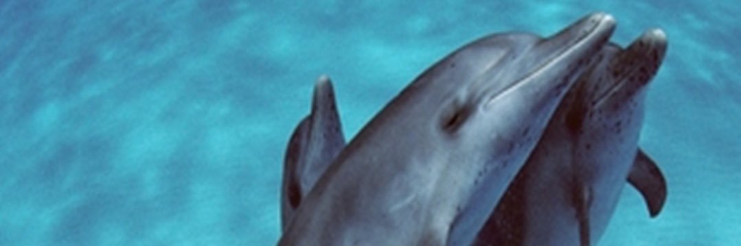 memoxxx4's profile banner image