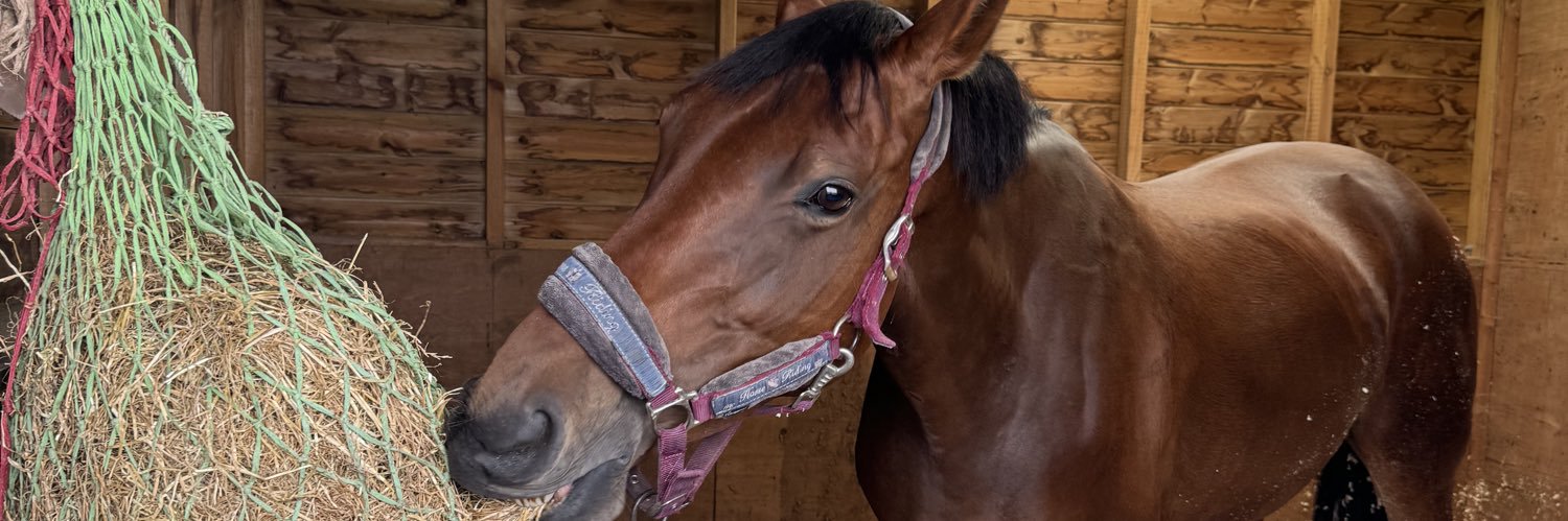 DeeCeeDee 🏴󠁧󠁢󠁳󠁣󠁴󠁿 💙 banner