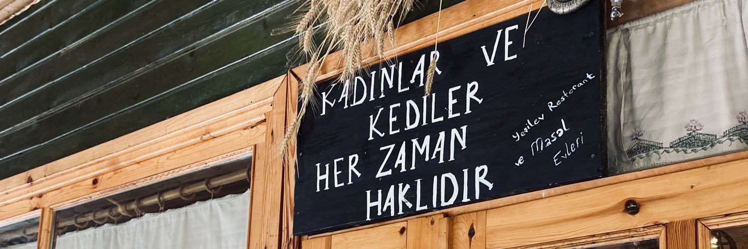 afranursefiik's profile banner image