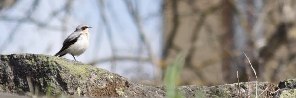 TeemuLari Profile Banner