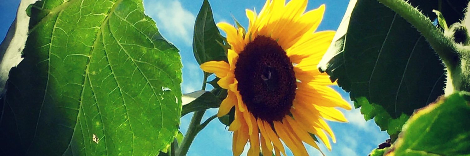 kahnelle's profile banner image