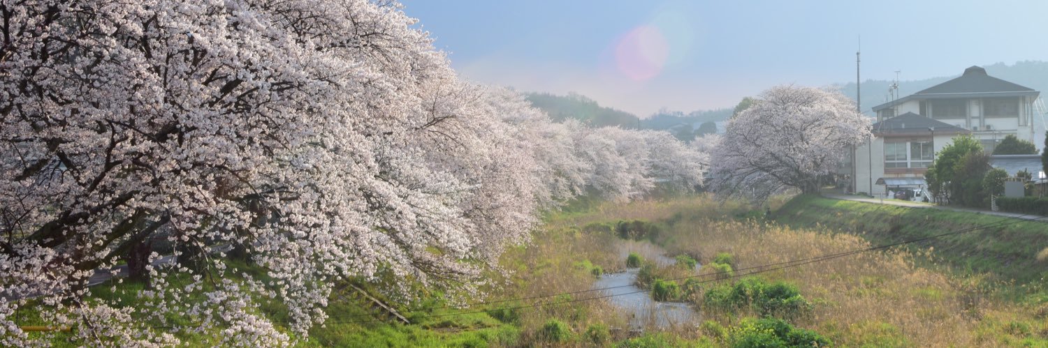 _branch_'s profile banner image