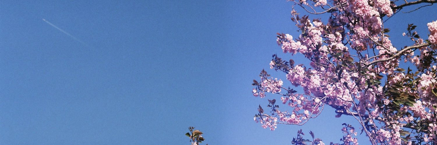 stephaniebasxo's profile banner image