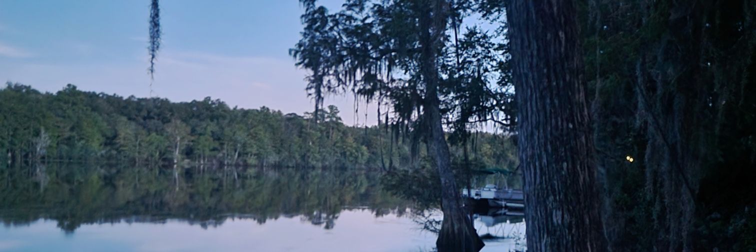 mklgriffth's profile banner image
