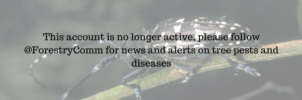 TreeHealthNews Profile Banner