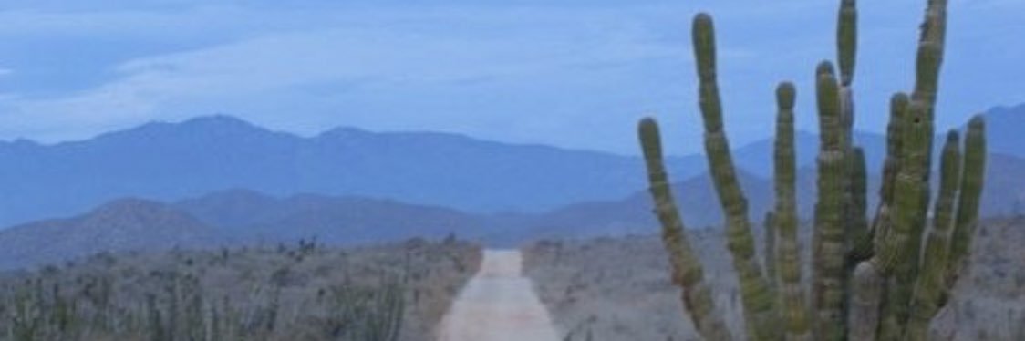 Erin M. Craddock banner