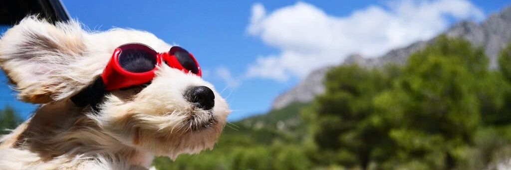 Coco11000's profile banner image