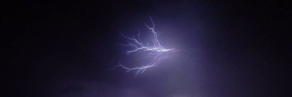 pandabear30224 Profile Banner