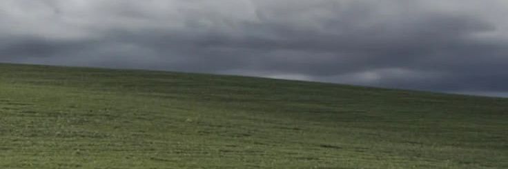 flightlessbrid's profile banner image