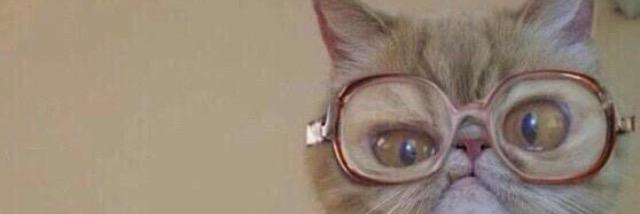 Cyn_a_Funnnn's profile banner image