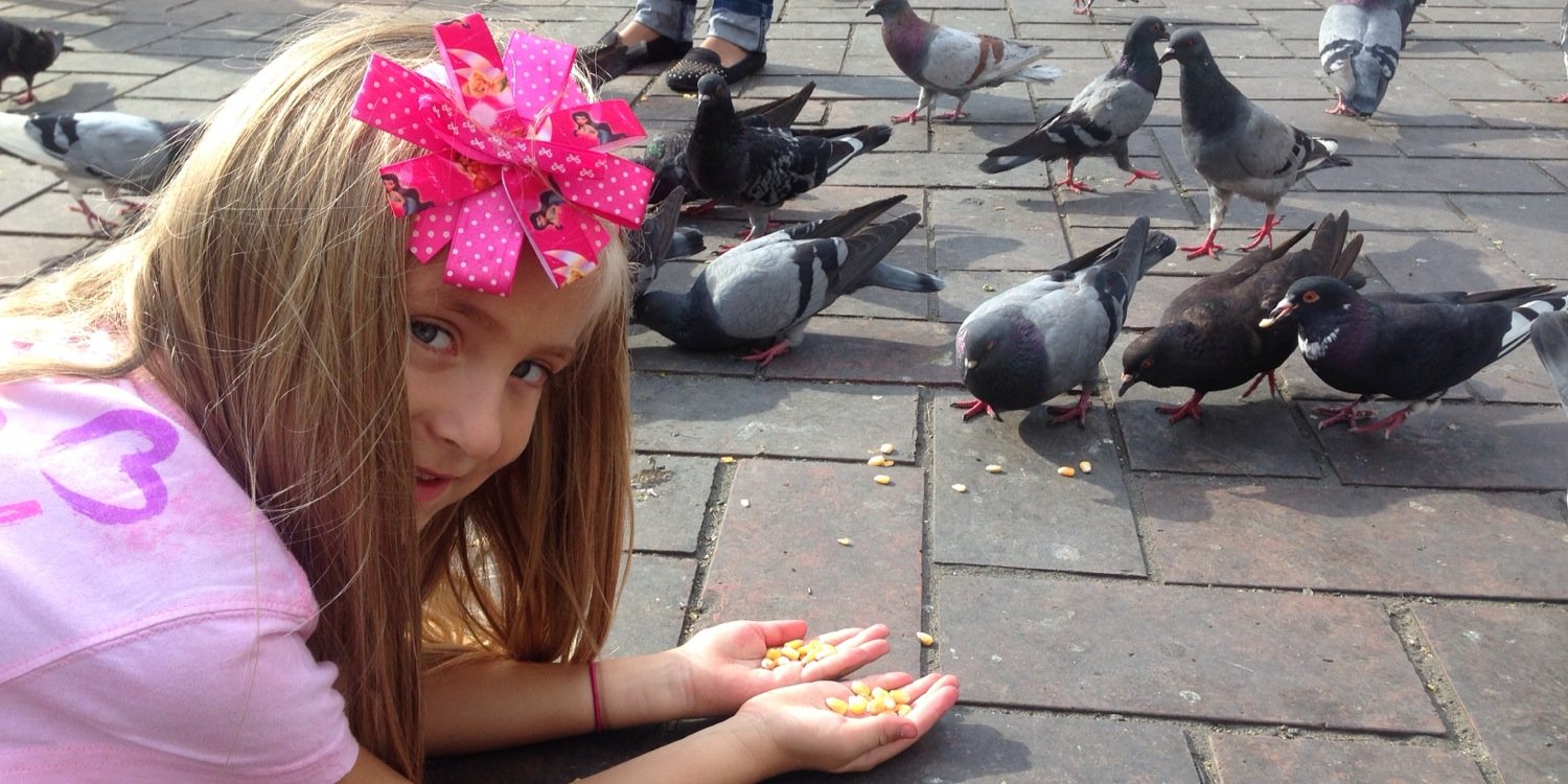 SofiaEscruceria's profile banner image