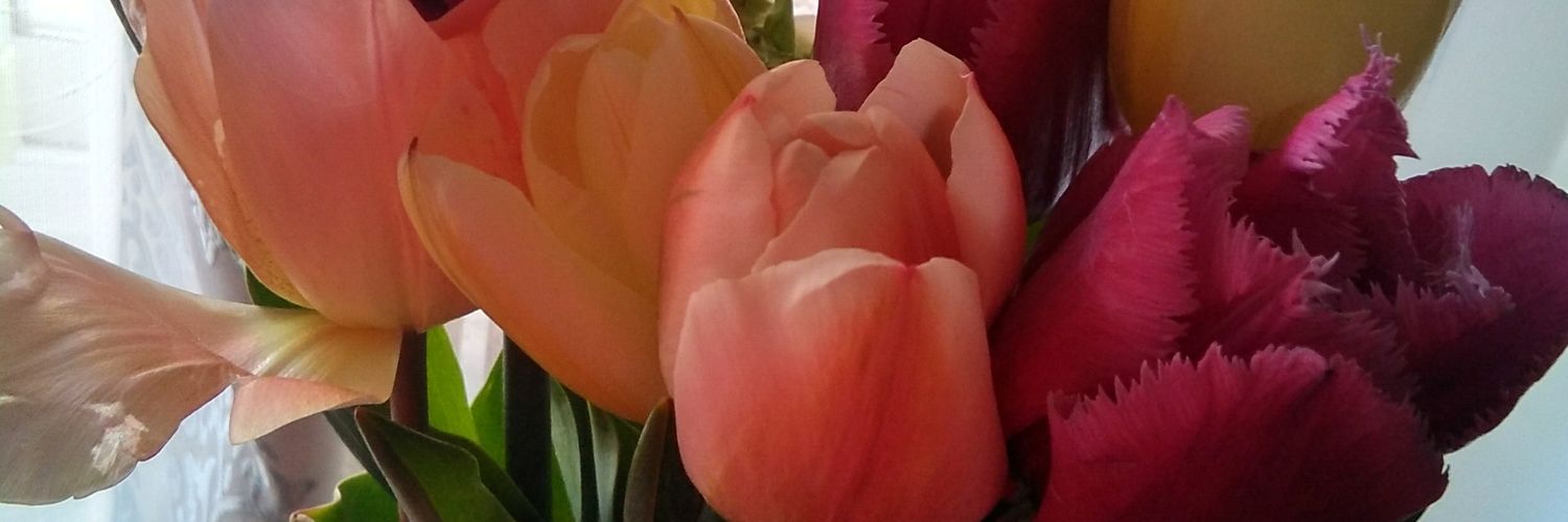 bmar_84's profile banner image