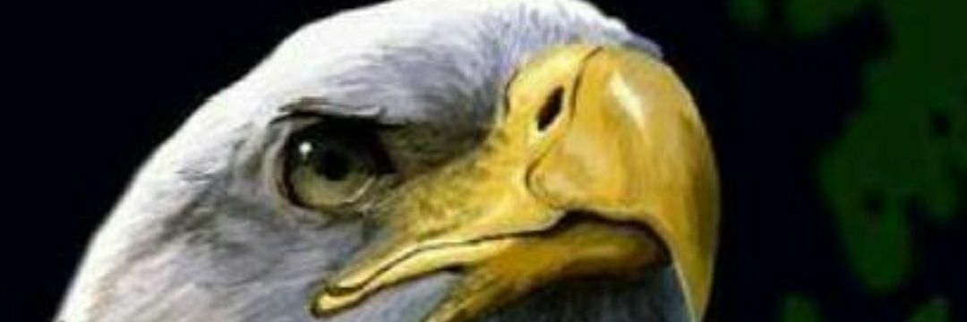 fabianooncm's profile banner image