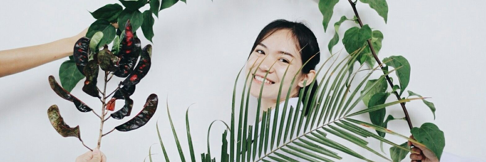 yardindy's profile banner image