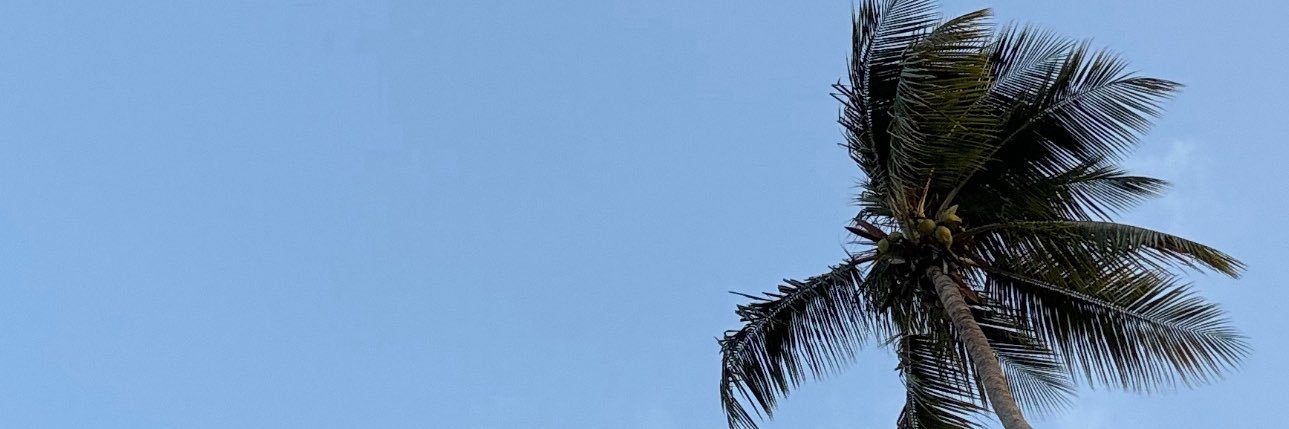 amyia__'s profile banner image