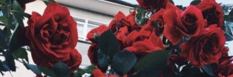 shayquay33's profile banner image