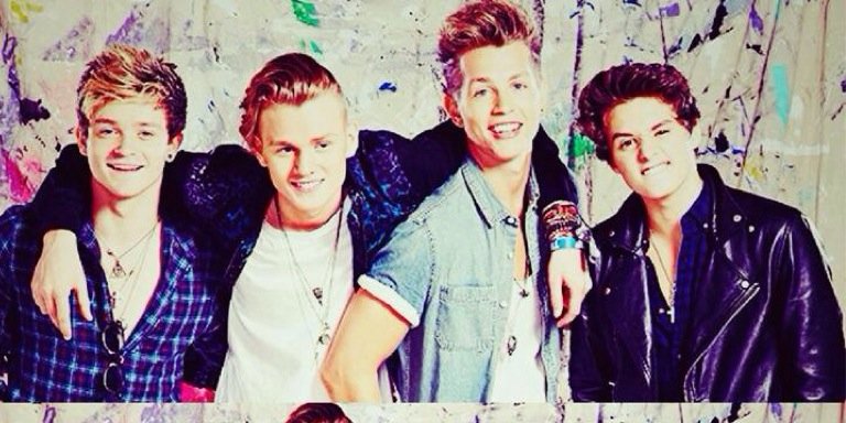 I Love The Vamps banner