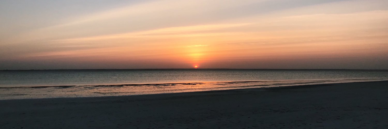 SianAndreucetti's profile banner image