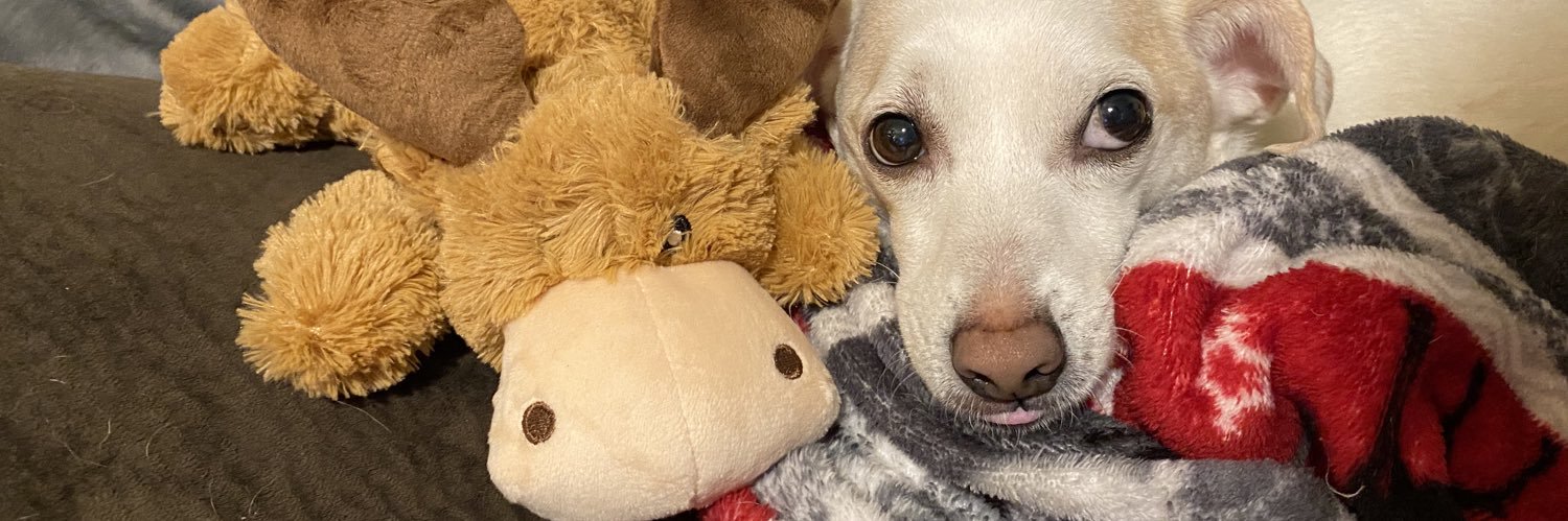 worldoftrouble's profile banner image