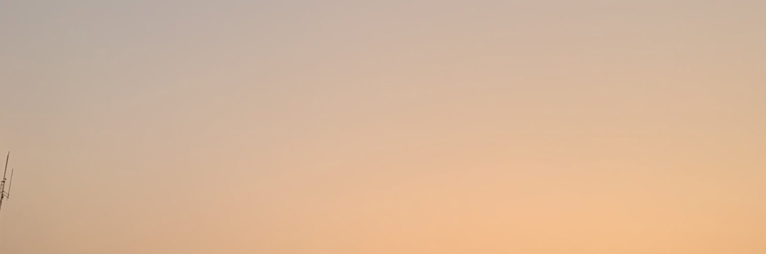 firstfux's profile banner image