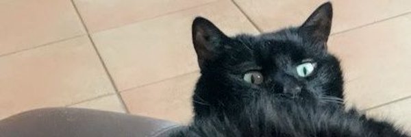 lolafl0 Profile Banner