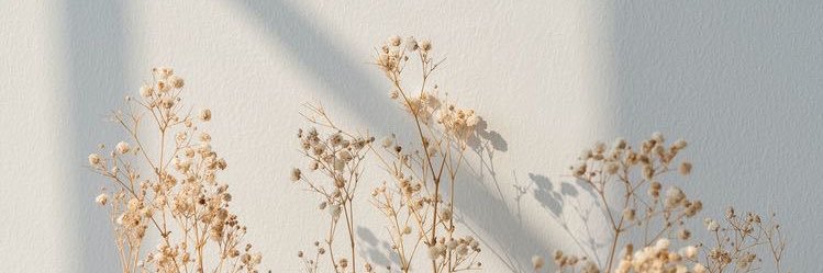 monicabj03's profile banner image