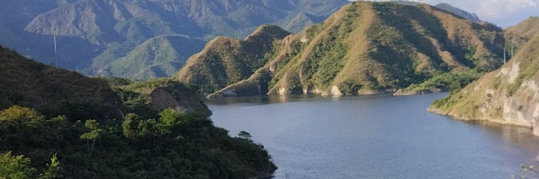 SharonSleeyn's profile banner image