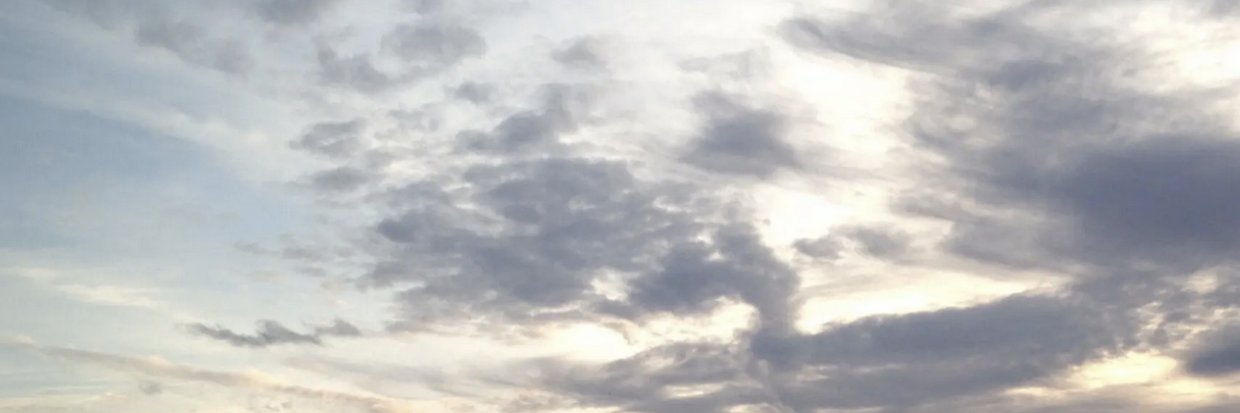 TapestryCommun's profile banner image