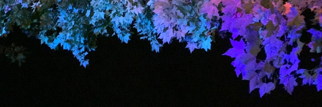 celinekeep's profile banner image