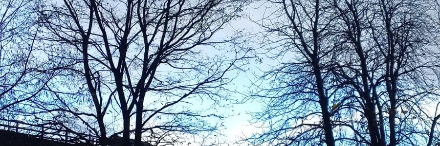 MoraTuning83's profile banner image