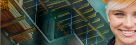 FWC Chicago banner