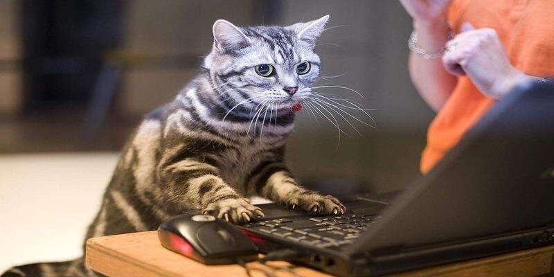 Творобушек banner