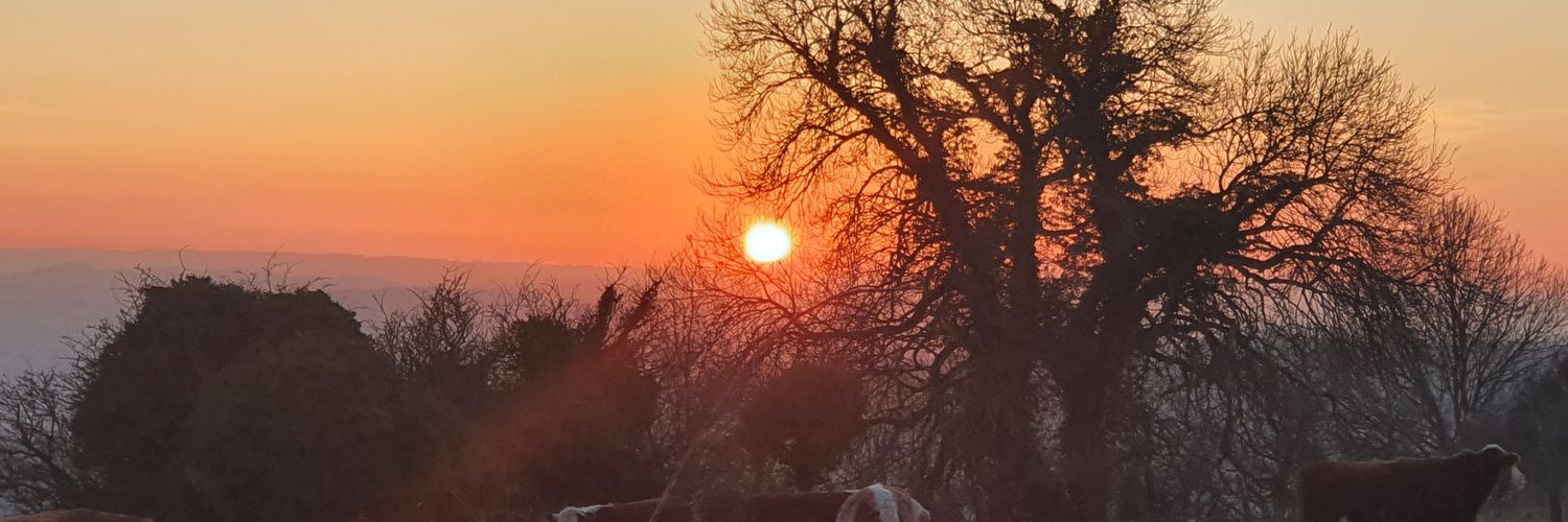 DanniPearson3's profile banner image