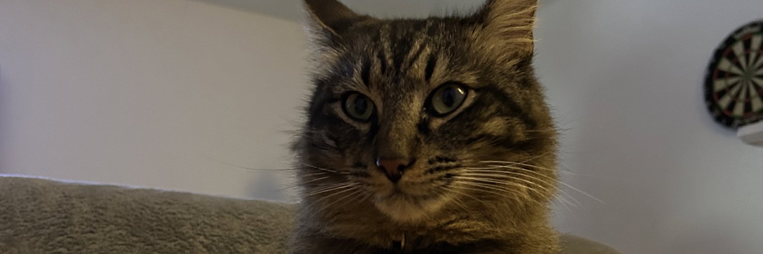 taschacqx's profile banner image